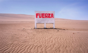200 ARTISTAS POR EL PERÚ – UNA INICIATIVA PARA PROTEGER A QUIENES NOS PROTEJEN 200 ARTISTAS POR EL PERÚ – UNA INICIATIVA PARA PROTEGER A QUIENES NOS PROTEJEN
