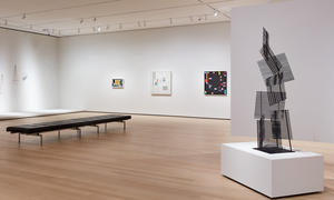 ARTE CONTEMPORÁNEO LATINOAMERICANO EN EL MoMA: UN REGALO DE PATRICIA PHELPS DE CISNEROS ARTE CONTEMPORÁNEO LATINOAMERICANO EN EL MoMA: UN REGALO DE PATRICIA PHELPS DE CISNEROS